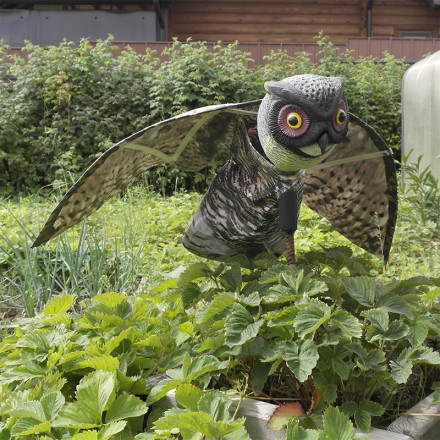 Отпугиватель птиц "Филин" Отпугиватель птиц "Филин"